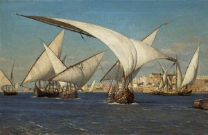 Nile Birds