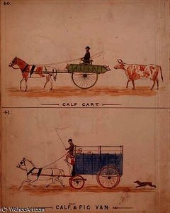 The Calf Cart And The Calf — William Francis Freelove, Other