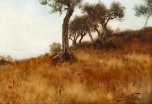 Countryside Landscape With Olive Trees — Enrico Nardi