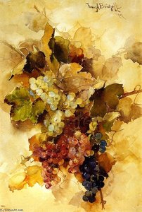 Grapes — Franz Bischoff