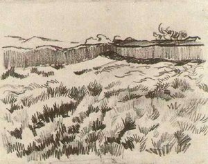 Enclosed Field — Vincent Willem Van Gogh
