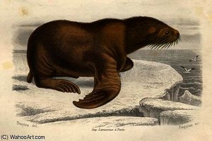 The Sea Lion — Edouard Traviès