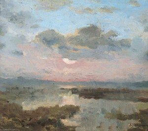 Soleil couchant dans les marécages