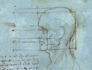 The Proportions Of The Head — Leonardo Da Vinci