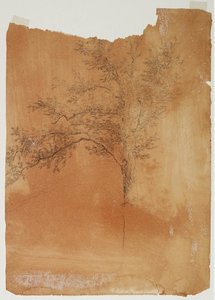 Tree7 — Thomas Cole