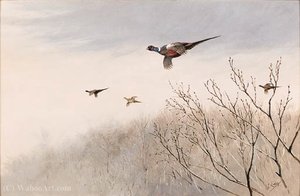 A Pheasant In Flight Above A Wood In Winter — George Edward Lodge