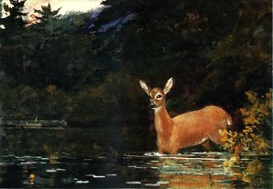 Solitude — Winslow Homer
