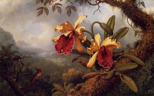 Orchids And Hummingbird 2 — Martin Johnson Heade