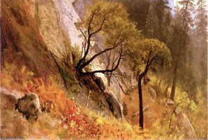 Landscape Study. Yosemite, California — Albert Bierstadt