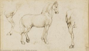 Studies Of Horses — Leonardo Da Vinci, Renaissance
