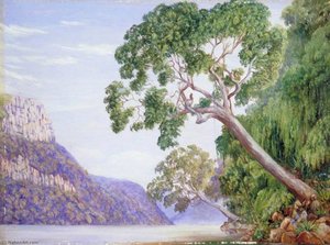 Kaffir Plumtrees Overhanging St John's River, Kaffraria — Marianne North