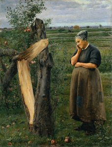 Broken Apple Trees — José Júlio De Souza Pinto