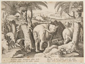 Cavemen Chasing Elephants, Plate 3 From The Venationes Ferarum, Avium, Piscium Series — Jan Van Der Straet Or Giovanni Stradano