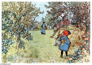 Apple Harvest — Carl Larsson