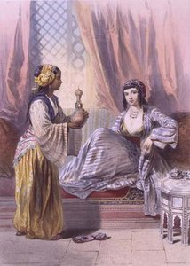 A Cairene Woman Waited Upon — Émile Prisse D'avennes