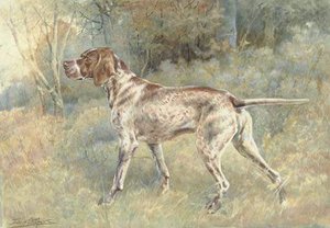 German Short Hair Pointer — Edmund Henry Osthaus