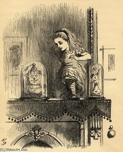 Alice In The Looking Glass House