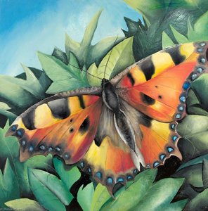 Butterfly — Helen Richards