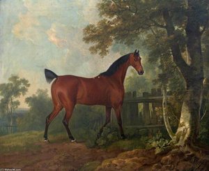 'amaranth', The Property Of A. B. St Leger, Esq. — Sawrey Gilpin
