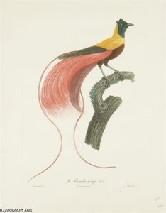 Red Paradise — Jacques Barraband