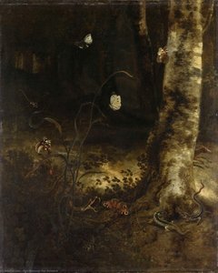 Forest Floor With A Snake, Lizards, Butterflies And Other Insects — Otto Marseus Van Schrieck