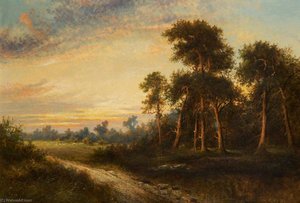 Evening Landscape