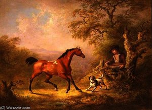 A Groom Feeding A Horse — Sawrey Gilpin