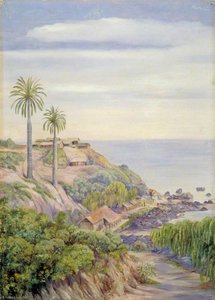 View Of Concon, Chili, With Its Two Palms — Marianne North