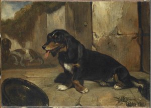 CHIEN BASSET