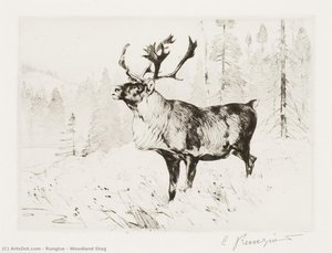 Woodland Stag — Carl Clemens Moritz Rungius