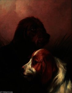 The Best Of Friends — Colin Graeme Roe