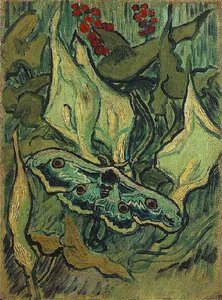 Great Peacock Moth — Vincent Willem Van Gogh
