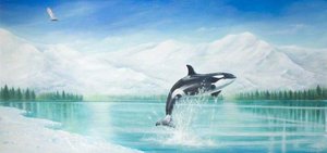 Orca — Sarah Hocombe