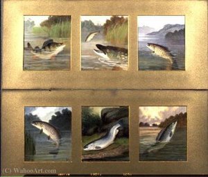 Selection Of Fish Paintings — A. Roland Knight