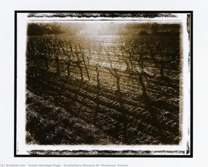 Involuntary Memory Iii, Provence, France — Susan Harbage-page