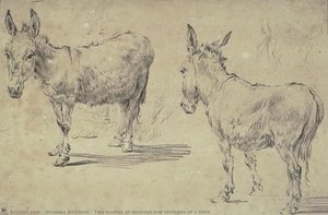 Two Studies Of Donkeys And Sketches Of A Third — Nicolaes Pietersz Berchem