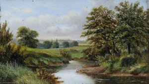 Canon Hall Park River Landscape, South Yorkshire — Benjamin Hold