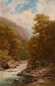 Forest River