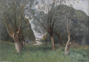 A Path Through The Woods