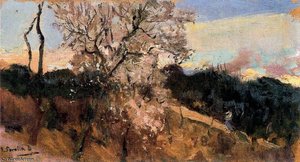 Untitled (5291) — Joaquín Sorolla Y Bastida