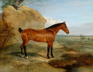 Lord Henniker's Bay Mare, Brunette