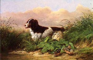 Setter And Woodcock — Arthur Fitzwilliam Tait