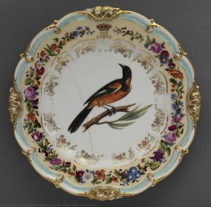 Plate With A Cacamaü — Edouard Honoré Ave