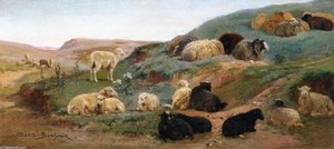 Sheep In A Mountainous Landscape — Rosa Bonheur