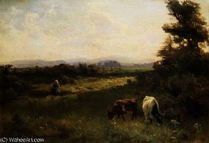 A Summer's afternoon near Blairgowrie