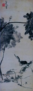 Lotus and Birds