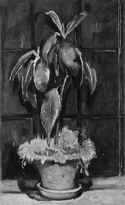 A Window At Night — Anne Goldthwaite