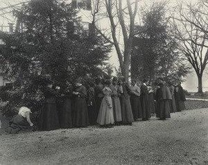 English Studying the cone bearing trees