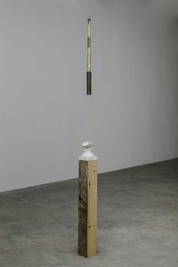 Telescope — Dorothy Cross Jensen