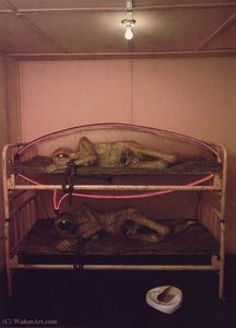 The State Hospital (interior), (243.8 X (1966) - (365.8) — Edward Kienholz